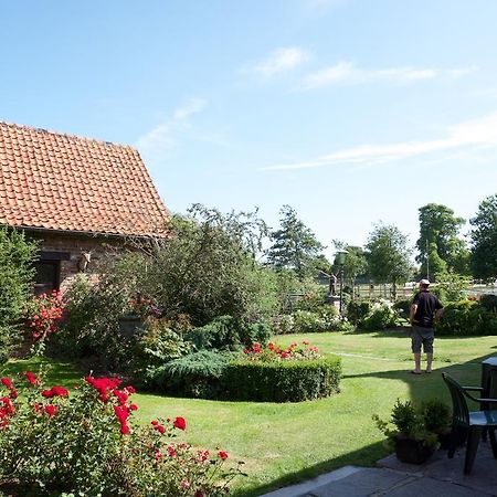 De Vitsemolenhoeve Westouter Rom bilde